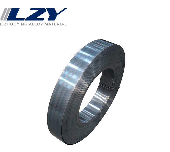 Stainless Steel Strip