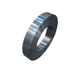 Stainless Steel Strip